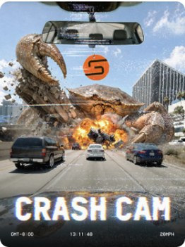 CrashCam swipe game